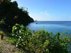 Champagne Beach