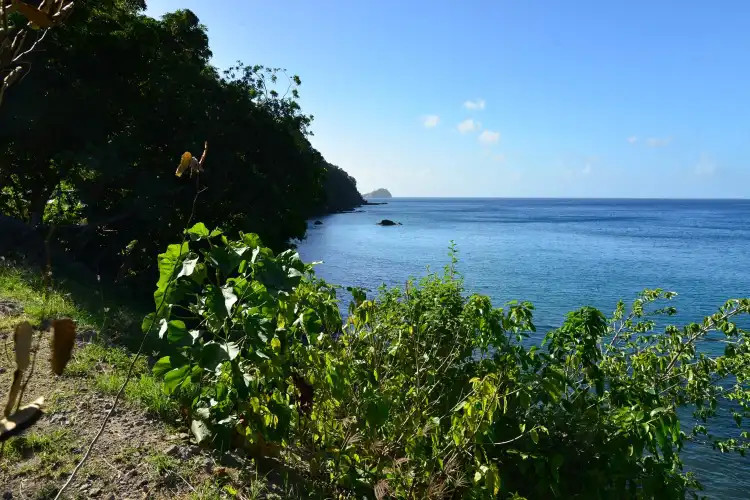 Pointe Michel
