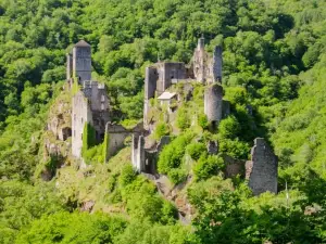 Les Tours de Merle