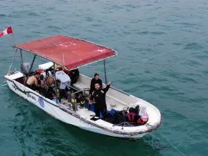 Escuela de Buceo Spondylus