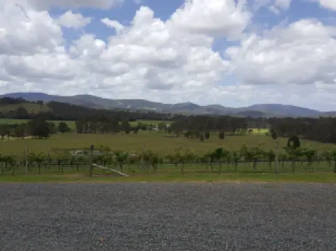 Villa d’Esta Vineyard