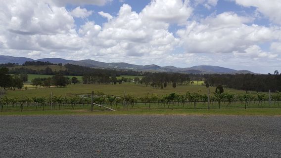 Villa d’Esta Vineyard