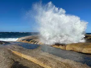 Bicheno Blowhole