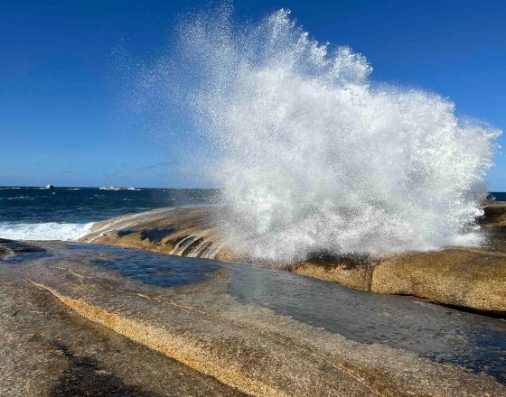 比舍諾 自由行套票