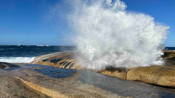 Bicheno Blowhole