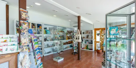 Swan Hill Regional Art Gallery