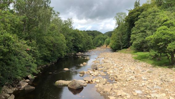 National Trust - Allen Banks and Staward Gorge
