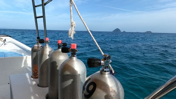 Ombak Divers