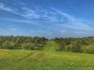 Wilson's Orchard & Farm (Iowa City)