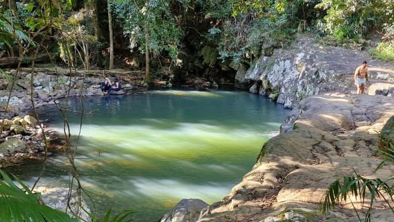 Purling Brook Falls, Springbrook National Park