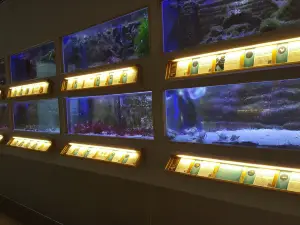 Nordsee Aquarium Borkum