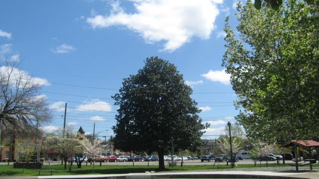 Fountain City Lake And Park