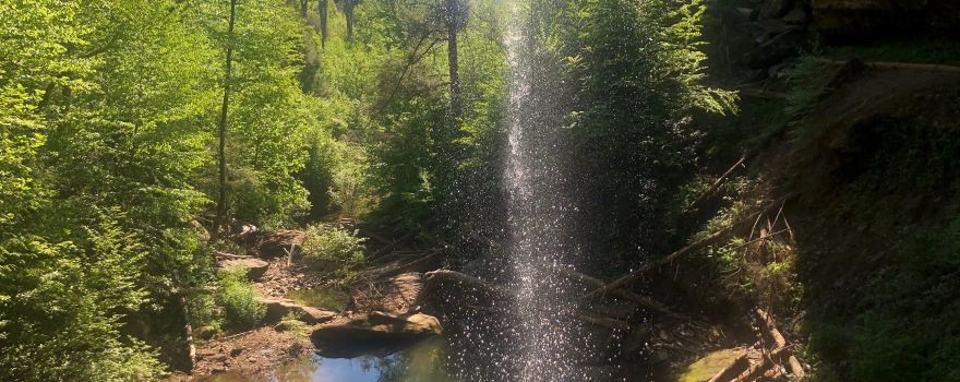 Menifee County