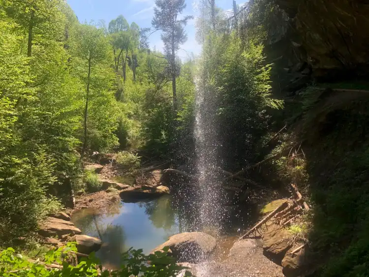 Hotels in Menifee County