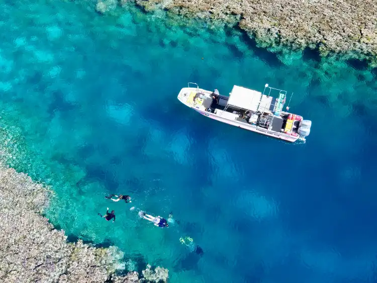 Hotels near Ant Atoll