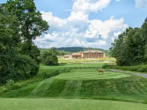 Golf at Old Kinderhook