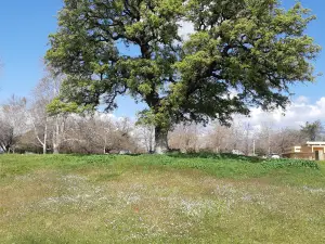 Horshat Tal Nature Reserve