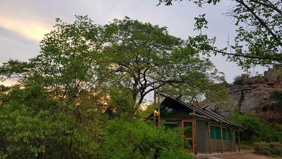 Awelani Lodge & Eco-Tourism Park
