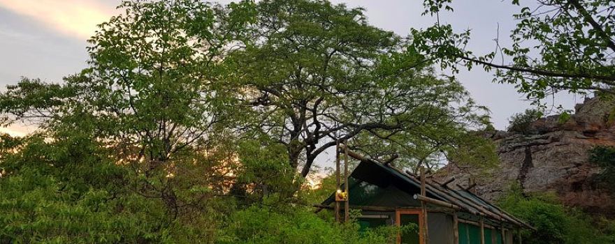 Awelani Lodge & Eco-Tourism Park