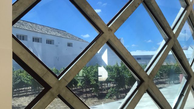 Centro del Vino Condado de Huelva