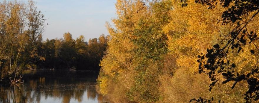 Espace Naturel Sensible de la Vauvre