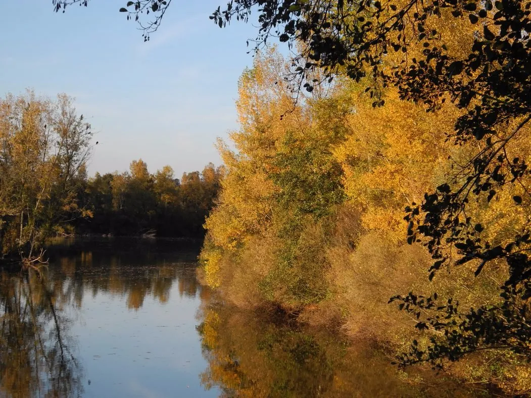 1_Espace Naturel Sensible de la Vauvre
