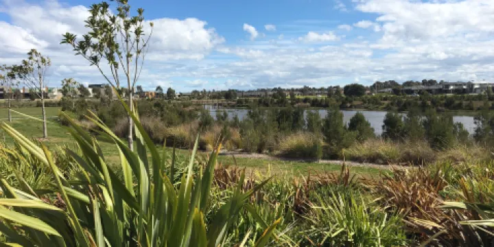 Cascade on Clyde Wetlands