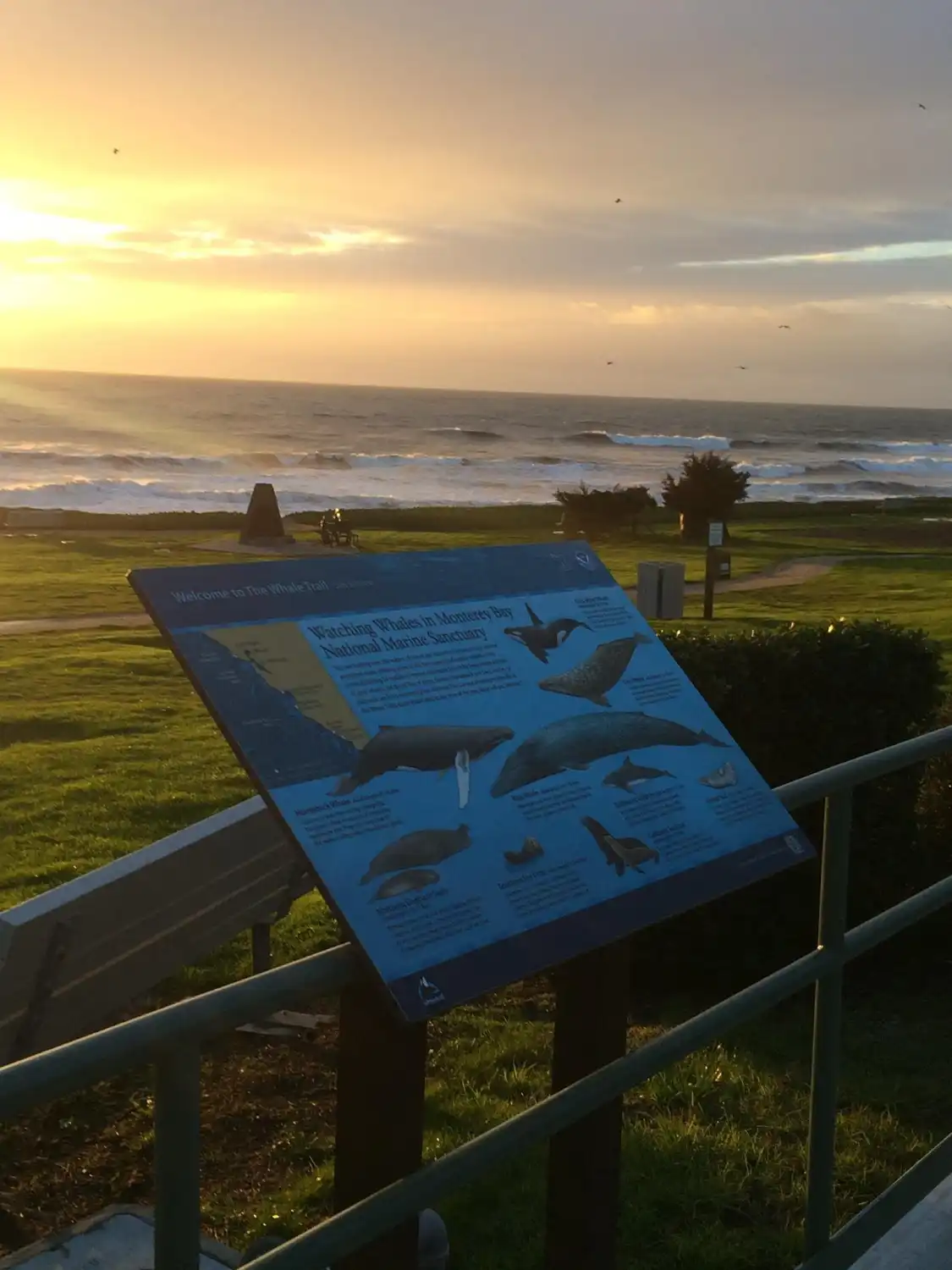 Hotels near The Whale Trail