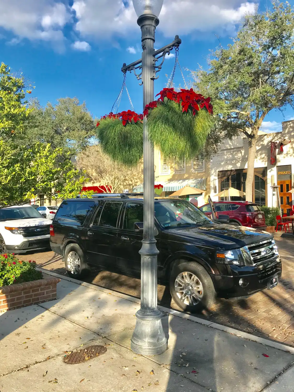 Winter Park Library附近的飯店