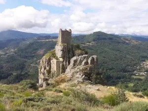 Chateau de Rochebonne
