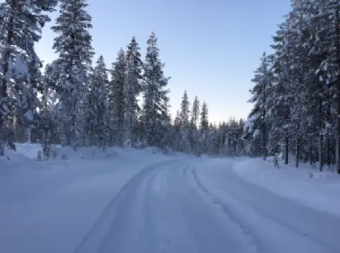 Orbas Reindeer Farm
