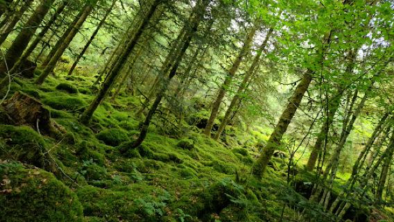Eyach- und Rotenbachtal