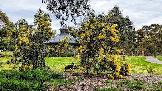 Oaklands Recreation Plaza