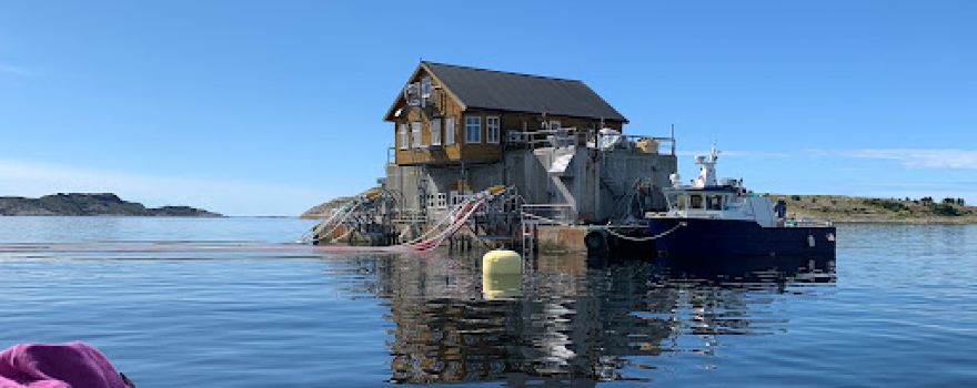 Bjørøya Visningssenter