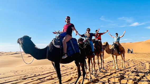 Sahara Trips Company