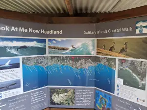 Look At Me Now Headland walk