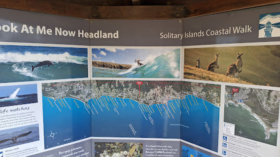 Look At Me Now Headland walk