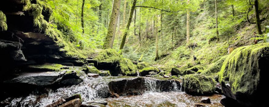 Monbachschlucht Bad Liebenzell