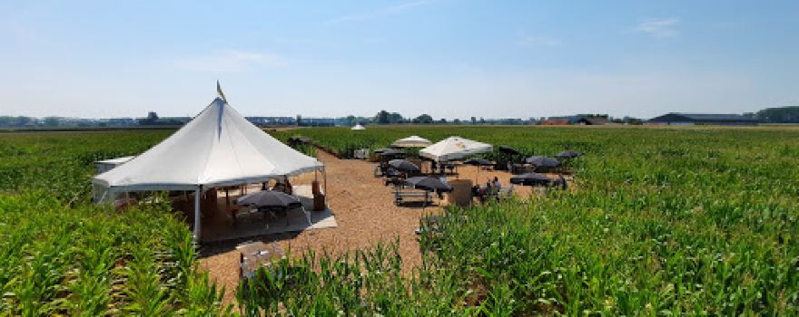 Maïsterplan, maisdoolhof