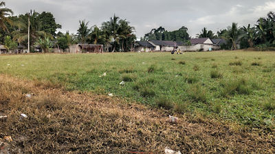 Lapangan Bola Desa Nibung