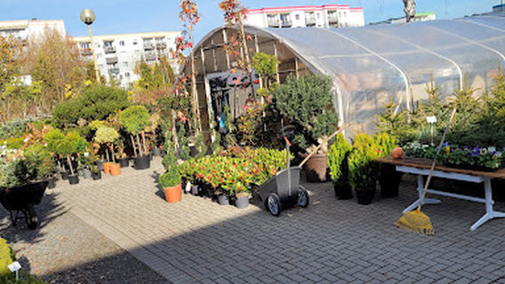 Stodoła. Centrum rolniczo - ogrodnicze