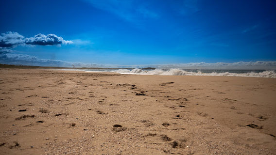 Shellharbour South Beach