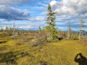 Storholmsjö naturreservat