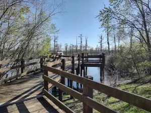 Lower Cache River Access