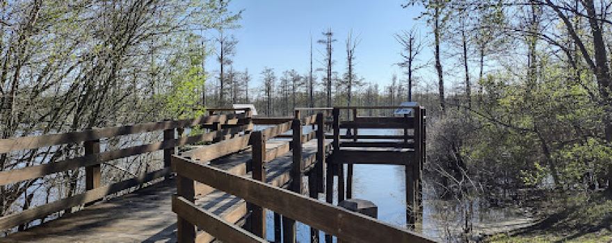 Lower Cache River Access