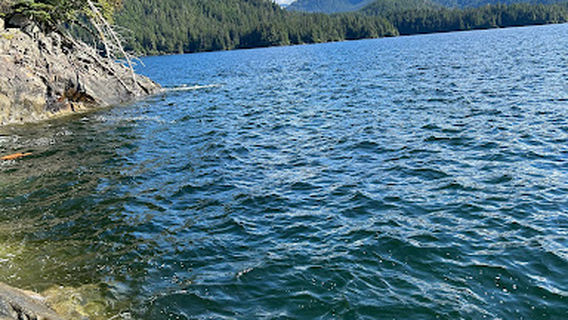 Whale Park