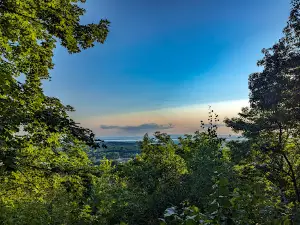 Aldis Hill Park