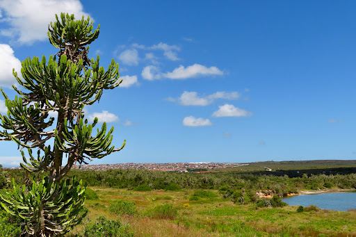 Kabeljous Nature Reserve