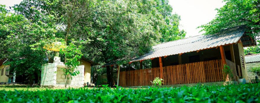 Nethra Ayurvedic Spa & resort