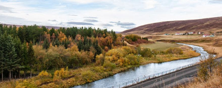 Laugavöllur